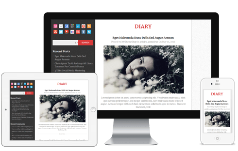 Diary WordPress Theme
